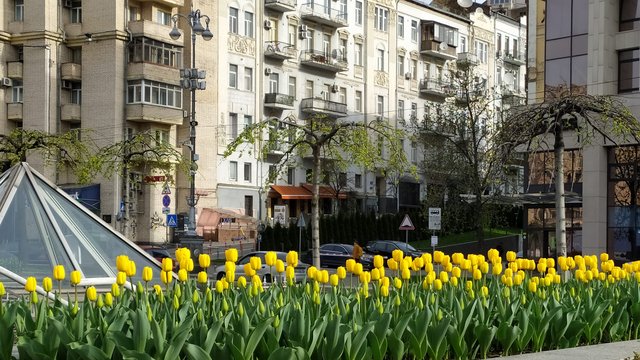 Уплата туристического сбора путешествующими в Украине за 5 мес.-2025 выросла на треть