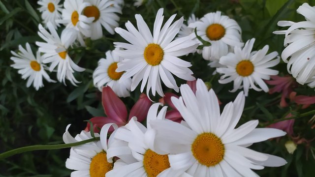 25 червня: Яке сьогодні свято, все про цей день