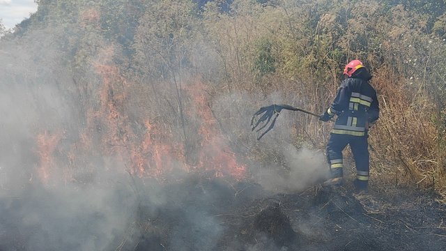 На Одещині палав сухостій на площі 18 000 кв м