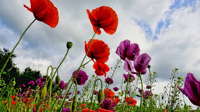 10 липня: Яке сьогодні свято, все про цей день