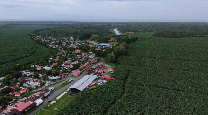 Банановая империя Chiquita, свергавшая правительства, нанесла удар по Панаме