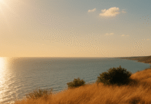 Спекотно й без опадів: на Одещині прогнозують пік пожежної небезпеки