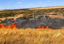 Пожежі на Одещині: малеча потрапила у вогняну пастку через необережність дорослих, — ФОТО