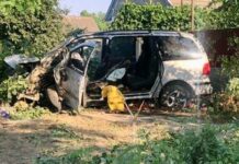 Volkswagen влетів у дерево на Одещині: бабуся з онуком потрапили до лікарні