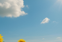 Увага, пожежна небезпека: на Одещину повертається спека до +33