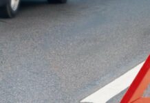 Збив собаку й не зупинився: на Одещині водія покарають за втечу з місця ДТП