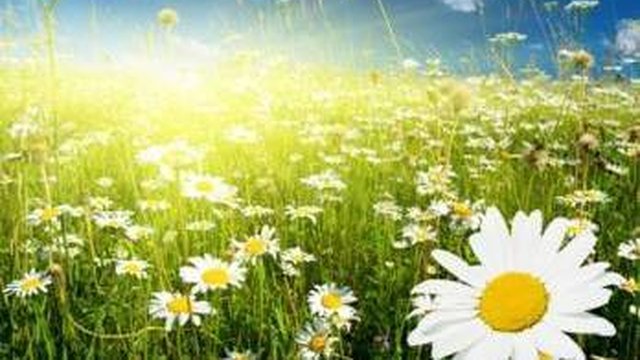 6 липня: Яке сьогодні свято, все про цей день