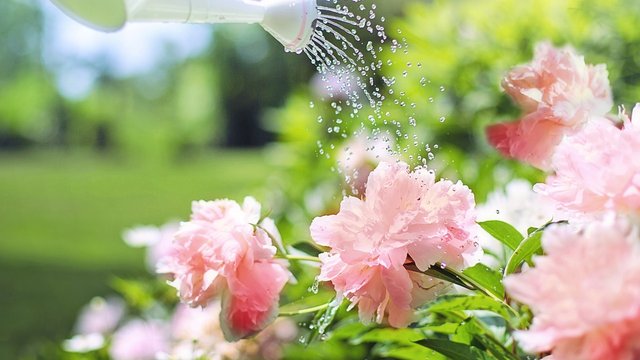 2 липня: Яке сьогодні свято, все про цей день