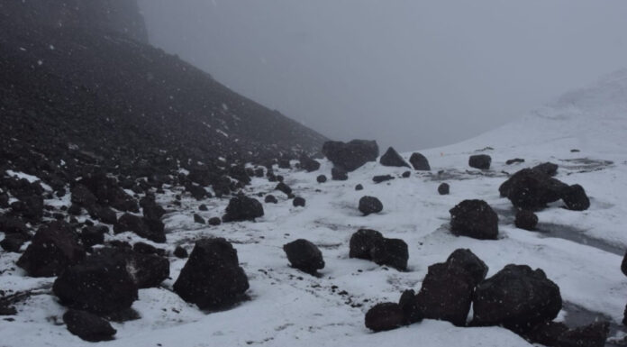 В Антарктиде нашли останки исследователя, который исчез 66 лет назад (фото)