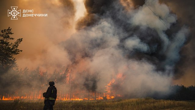 Масштабну лісову пожежу ліквідовано на Донеччині — ДСНС