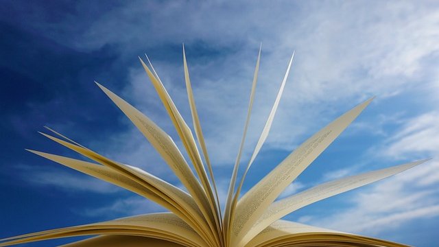 14 серпня: Яке сьогодні свято, все про цей день