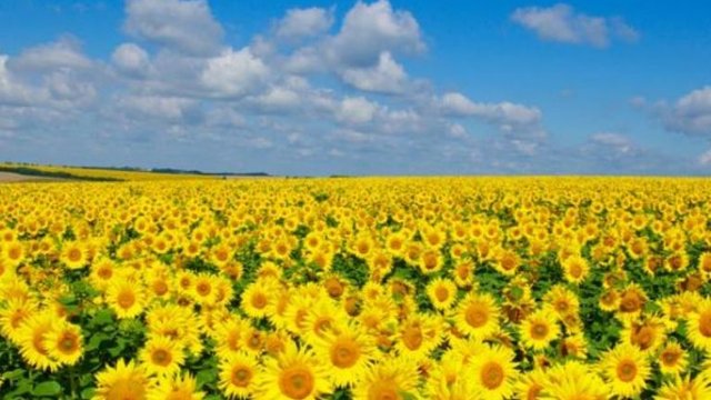 30 серпня: Яке сьогодні свято, все про цей день