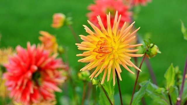 В Україні буде по-осінньому тепло, короткочасні дощі — лише на крайньому заході