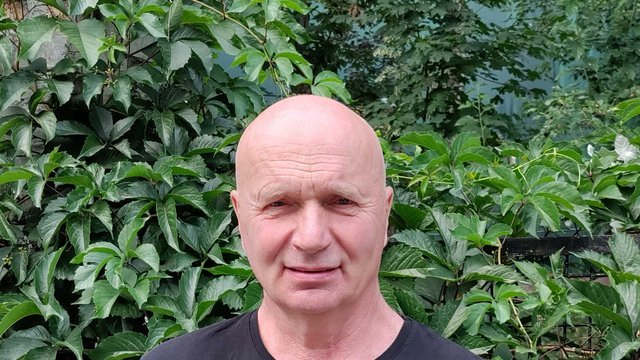 Міндовкілля в 2 рази збільшило вирубку лісу в національних парках за останні 8 років. Це абсурд, корупція і екологічна катастрофа