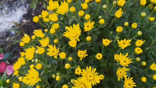 3 вересня: Яке сьогодні свято, все про цей день