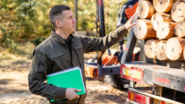 Годовые форвардные контракты на лес могут быть введены в 2026г