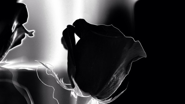 Інформацію про 515 загиблих на війні спортсменів розміщено на сайті «Янголи спорту»