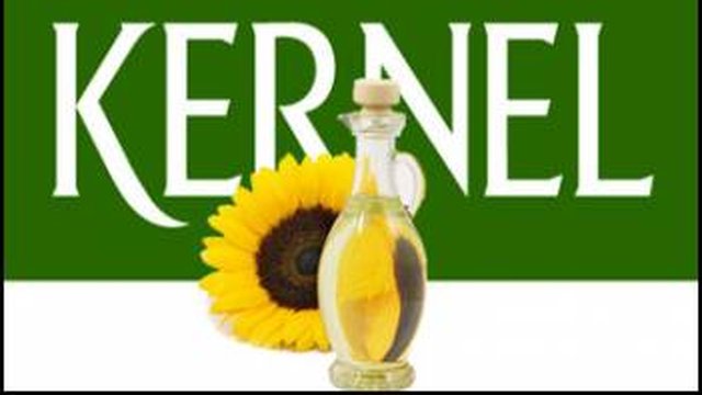 «Кернел» в 2025ФР увеличил чистую прибыль на 42%, в 2026г восстановит «ТрансБалкТерминал» и будет развивать ВИЭ