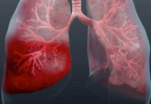 12 листопада 2025: яке сьогодні свято