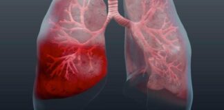 12 листопада 2025: яке сьогодні свято