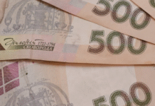 Податкова афера на 4,7 млн: директора фірми з Одеси викрили у схематозі