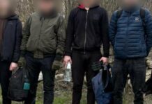 Втеча за $42 000: на Одещині прикордонники із собакою ловили чоловіків, — ФОТО