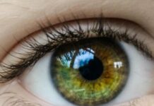 Безкоштовна перевірка зору для одеситів: коли і де можна пройти обстеження