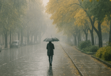 Осіння злива накриє Одещину: 11 листопада прогнозують сильні дощі й туман