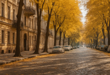 Листопад починається з тепла: в Одесі до +20, без опадів
