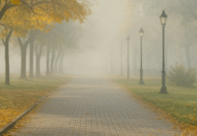 Осіння прохолода без дощу: прогноз погоди на 12 листопада в Одесі та області