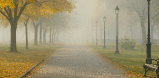 Осіння прохолода без дощу: прогноз погоди на 12 листопада в Одесі та області