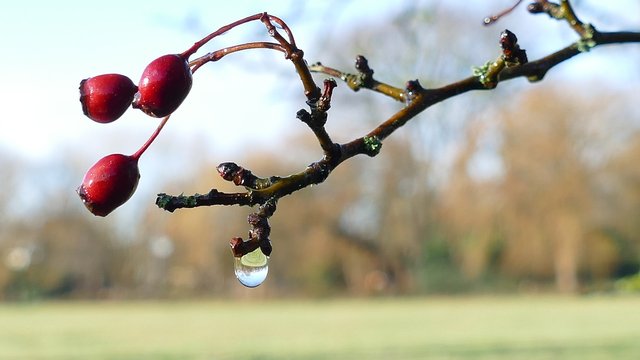 20 грудня: Яке сьогодні свято, все про цей день