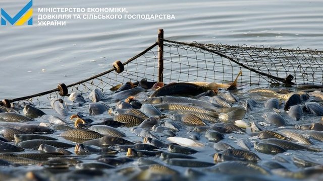 Уряд запровадив електронне декларування права на промислове рибальство