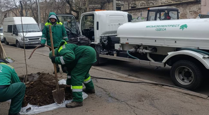 Зелене поповнення: десятки дерев висадили в Одесі цього тижня, — ФОТО