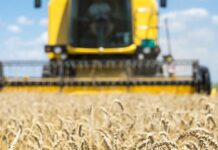 Одещина в топ-4 за кількістю пільгових кредитів: бізнес отримав майже 80 мільярдів за програмою 5-7-9%