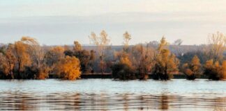 На Одещині знизився рівень води в Придунайських озерах: що відомо