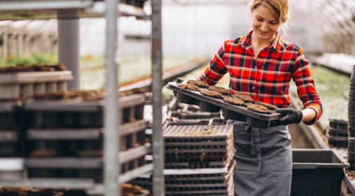 Забудьте о Польше: где украинцам готовы платить 50 тысяч евро зарплаты