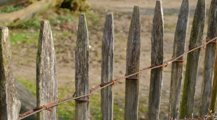 Владельцев домов в Украине могут оштрафовать на крупную сумму