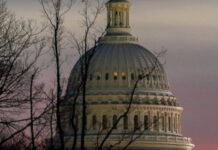 Білий дім: Трамп надзвичайно розчарований обома сторонами російсько-української війни