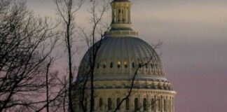 Білий дім: Трамп надзвичайно розчарований обома сторонами російсько-української війни