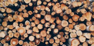 Цена на дрова для населения и соцсферы до конца отопительного сезона не изменится — «Леса Украины»