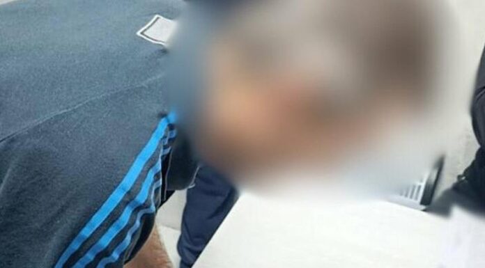 Шахрайство з дровами: житель Одещини ошукав сімох людей