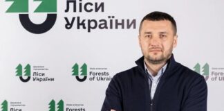 «Леса Украины» планируют удвоить инвестиции в 2026г. и увеличить заготовку древесины на 2 млн куб. м — гендиректор