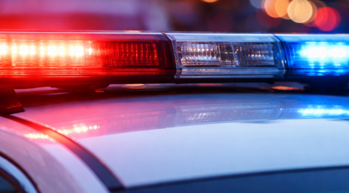 В Одесі викрили директорку автошколи на службовому підробленні