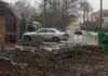В Одесі через негоду на вулицях масово падають дерева та гілки, – ФОТО