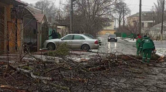 В Одесі через негоду на вулицях масово падають дерева та гілки, — ФОТО