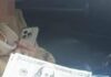 В Одесі викрили лікарку-психіатра, яка за гроші “продавала” місця у стаціонарі, – ФОТО