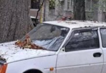 Покинуті авто в Одесі: у Київському районі знайшли 14 машин