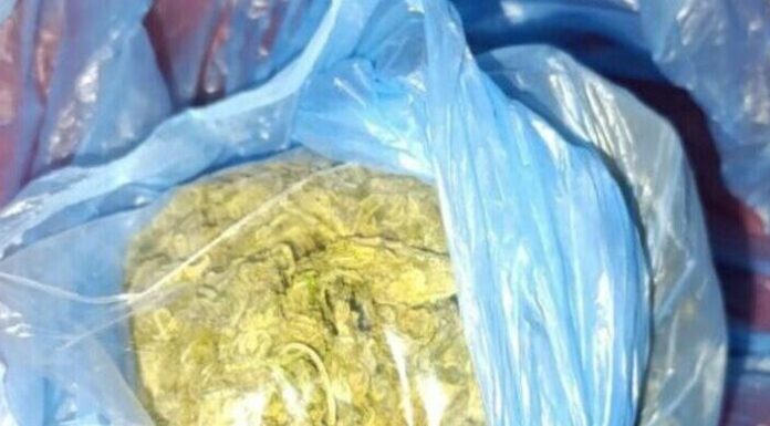 Смердюча посилка змусила одеського кур’єра викликати поліцію