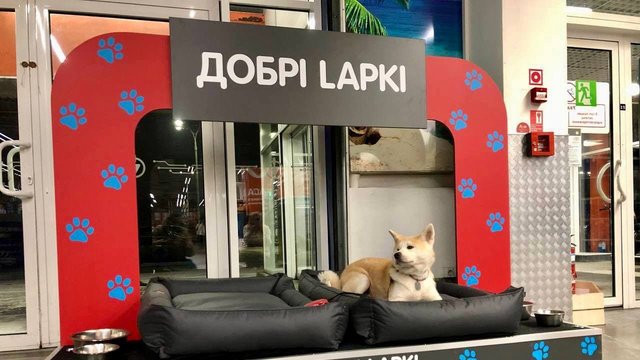 Епіцентр обладнав постійні зони для відпочинку тварин